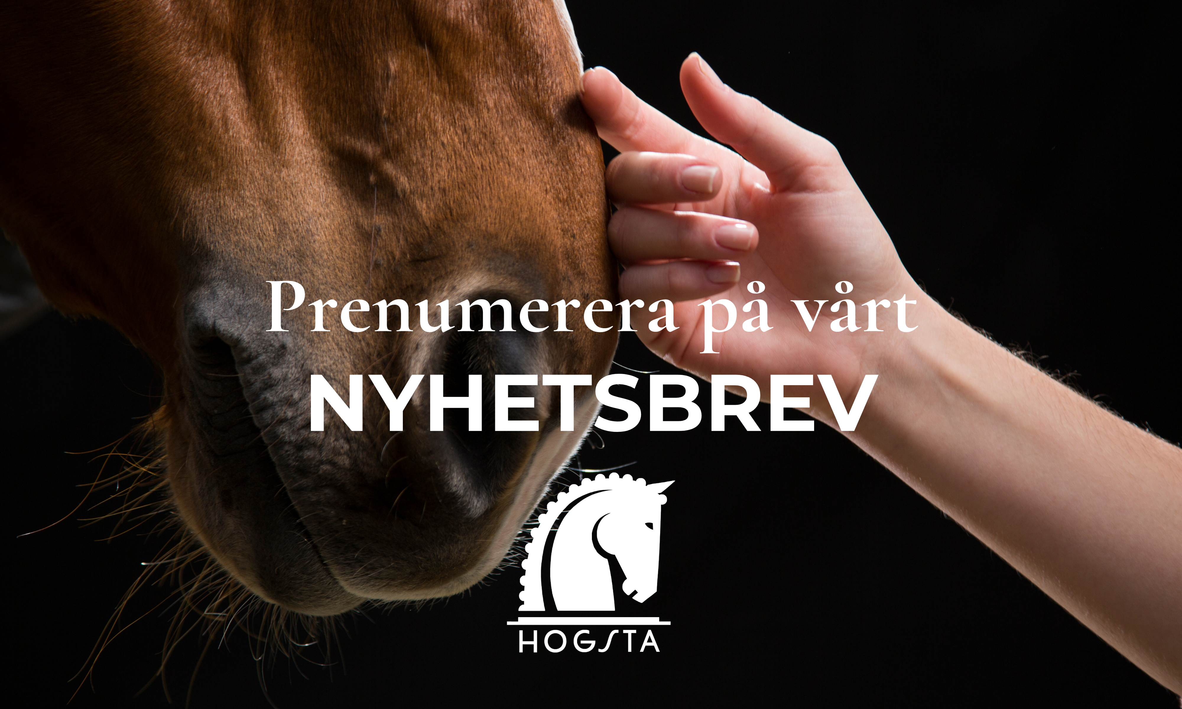 https://www.hogstaridsport.com/pub_docs/files/SwekanalenFlightAug2023/Prenumerera-på-nyhetsbrev.png