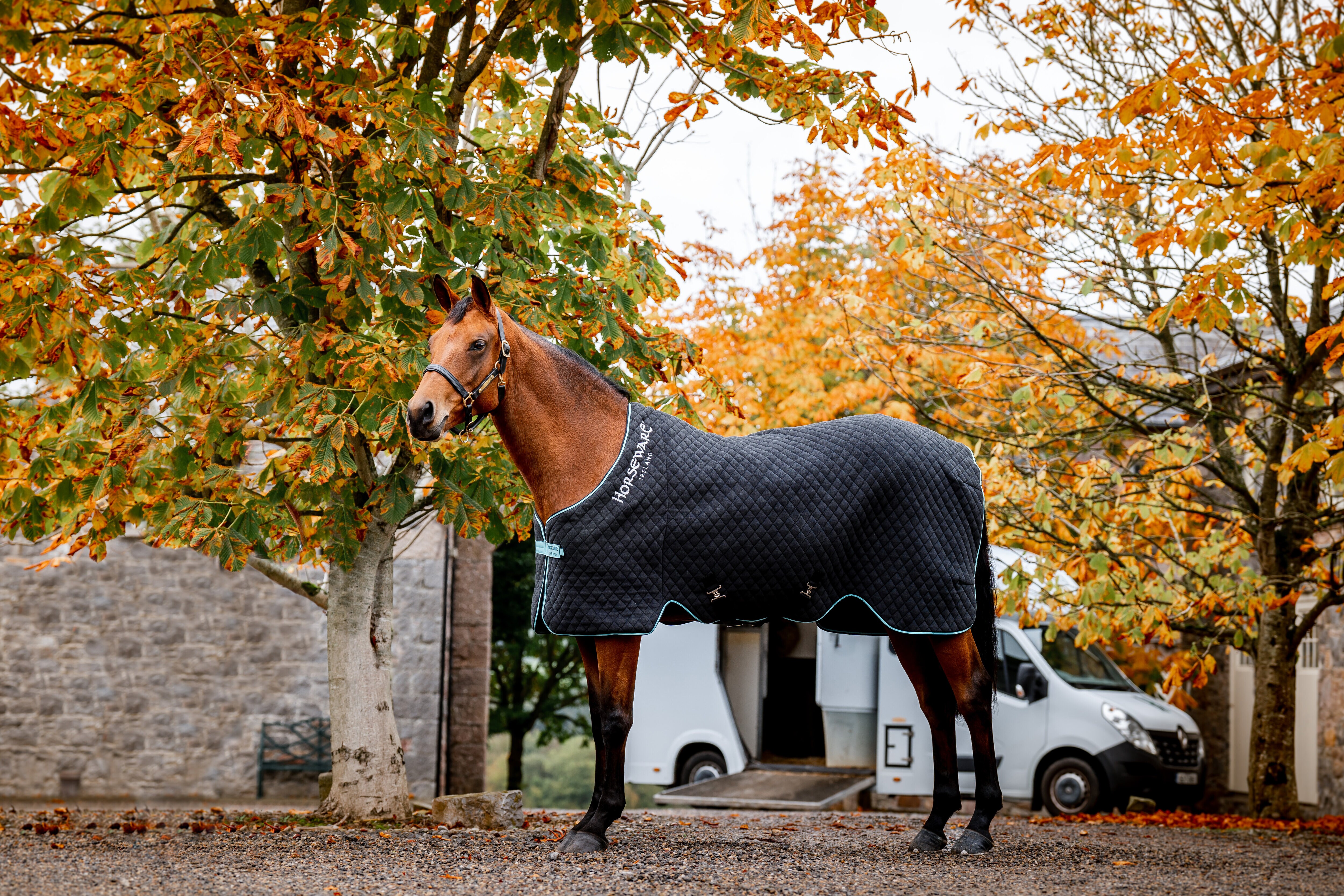 https://www.hogstaridsport.com/pub_docs/files/SwekanalenFlightAug2023/achfl2-kdi0_horseware-autumn-cooler-(1).jpg