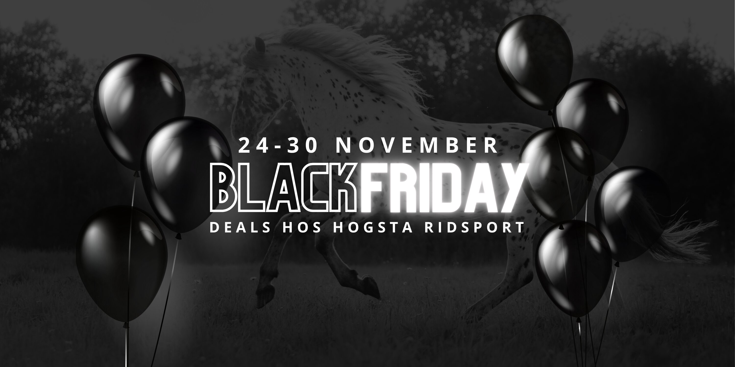 https://www.hogstaridsport.com/pub_docs/files/blackfriday2025-(2).png