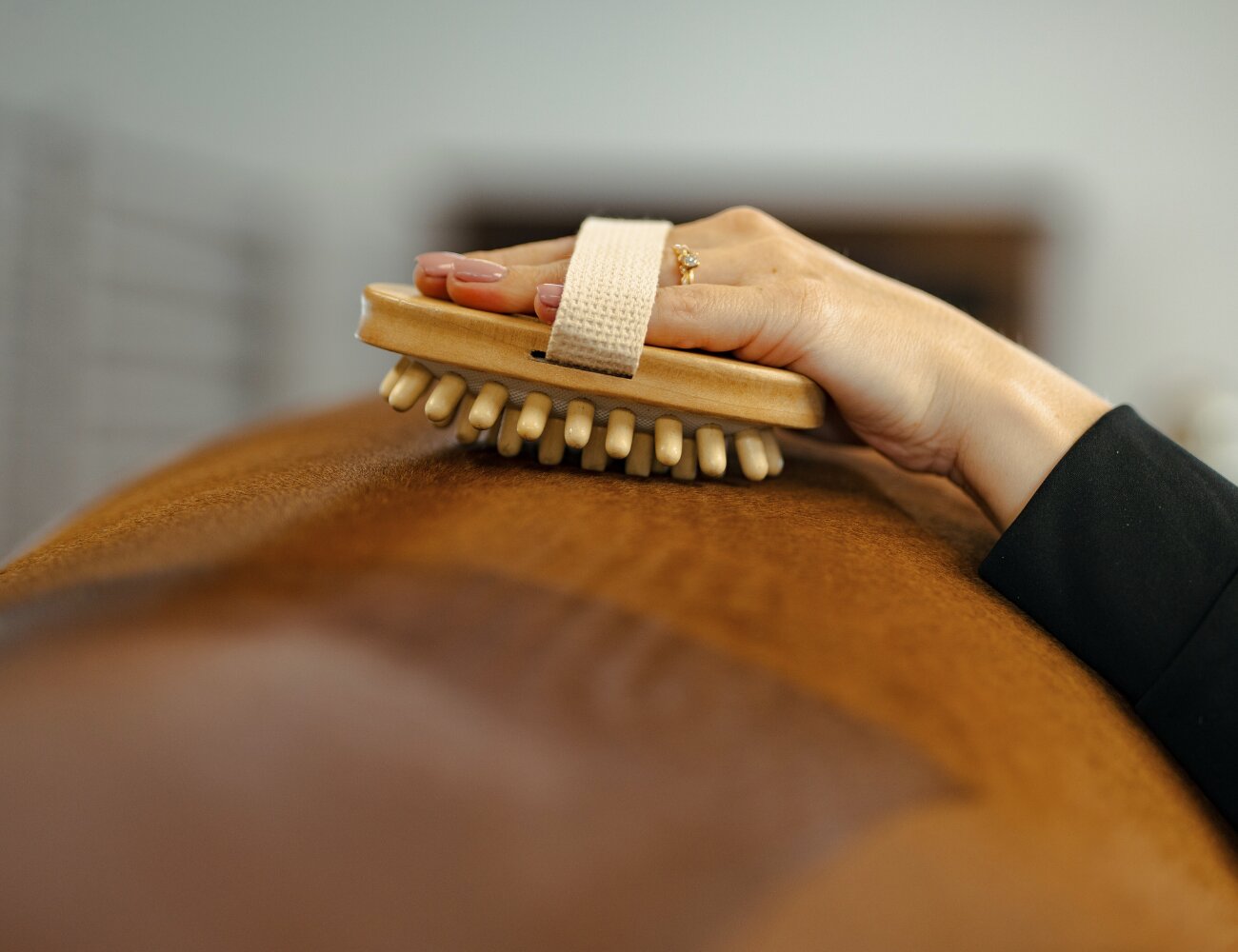 https://www.hogstaridsport.com/pub_docs/files/massage_borste.png