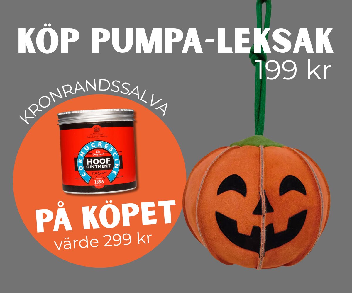 https://www.hogstaridsport.com/pub_docs/files/pumpakampanj.png