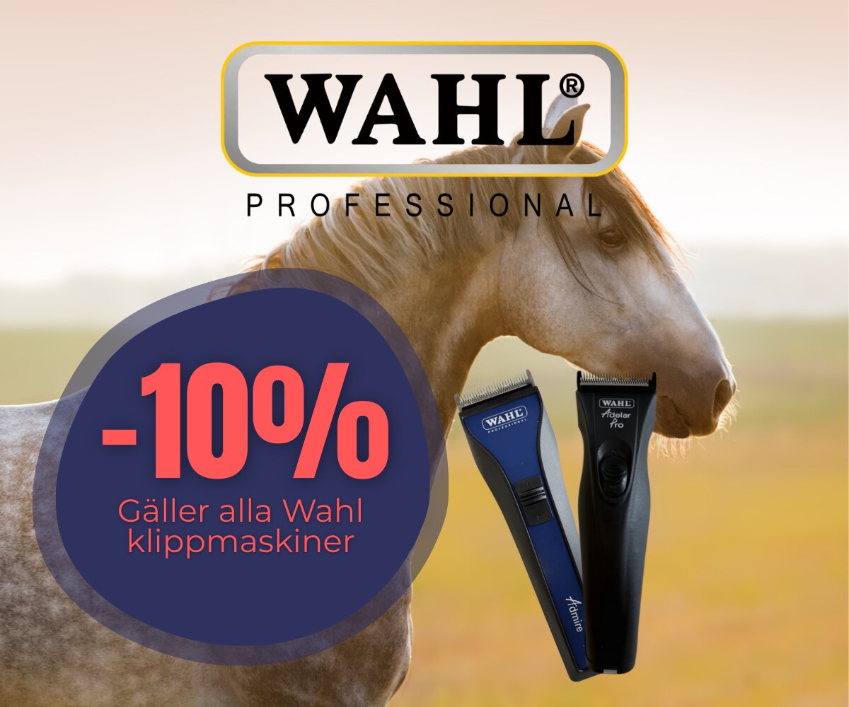 https://www.hogstaridsport.com/pub_docs/files/wahlkampanj.png