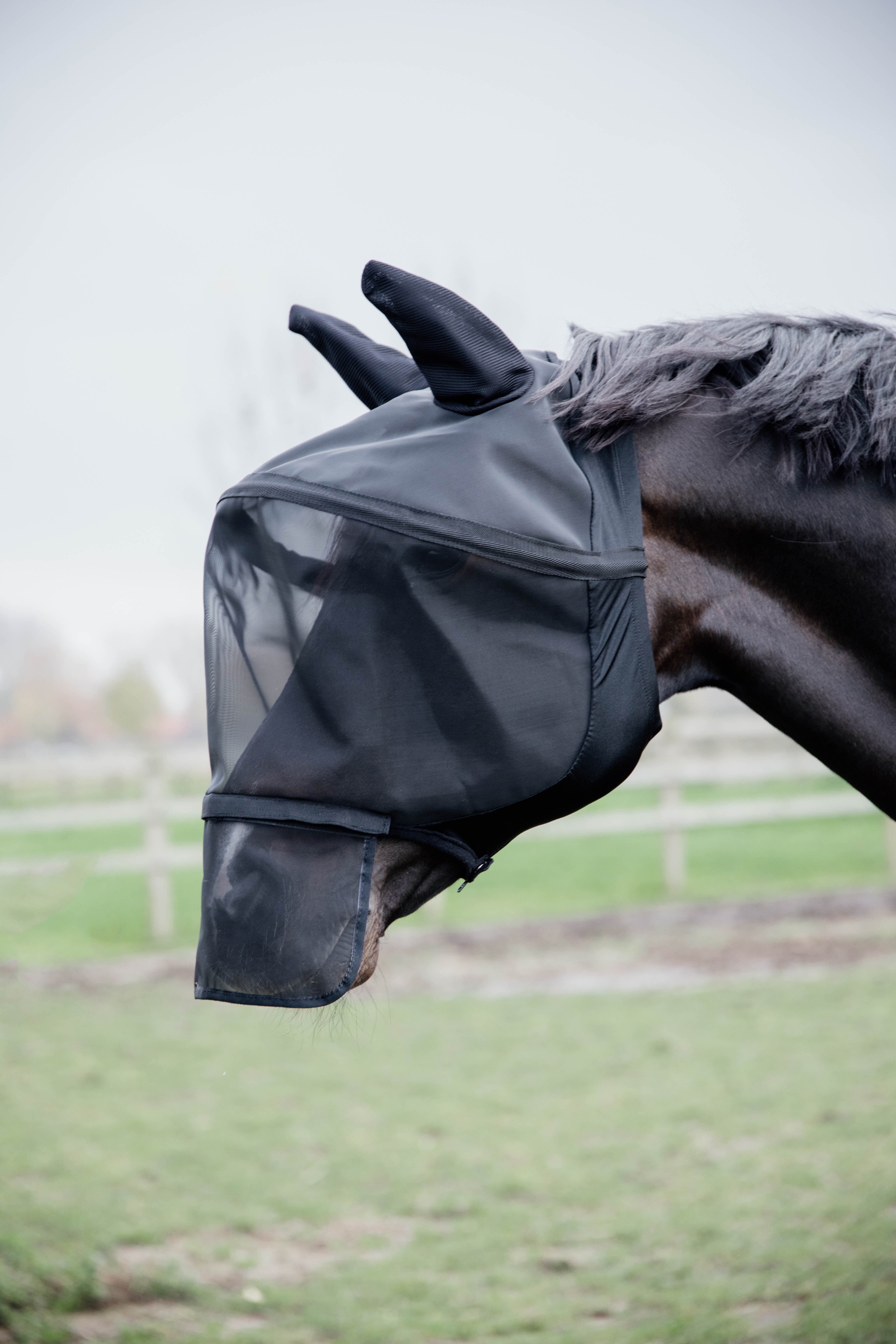 Fly Mask Pro - Svart