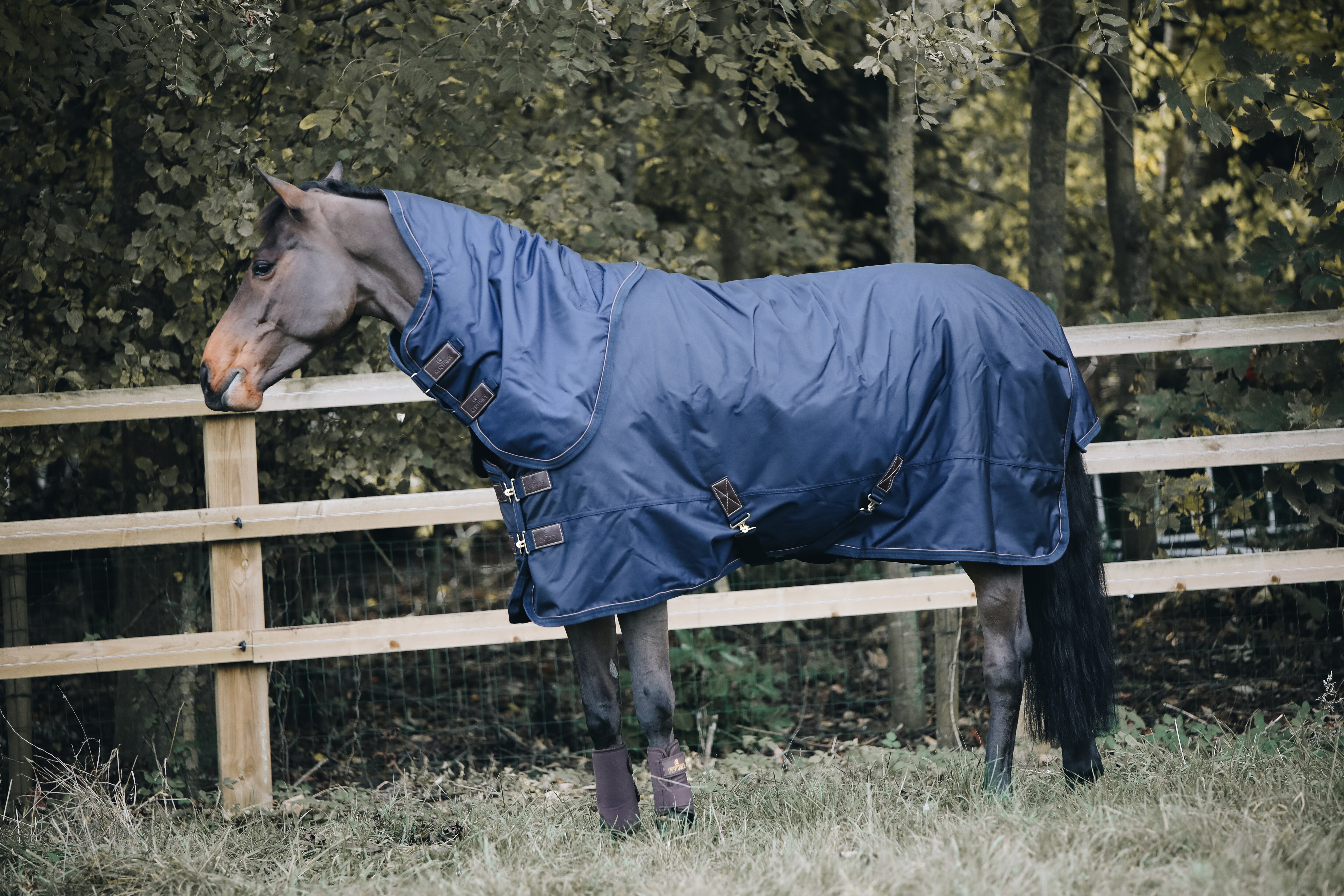 Turnout Rug All Weather 0g - 140