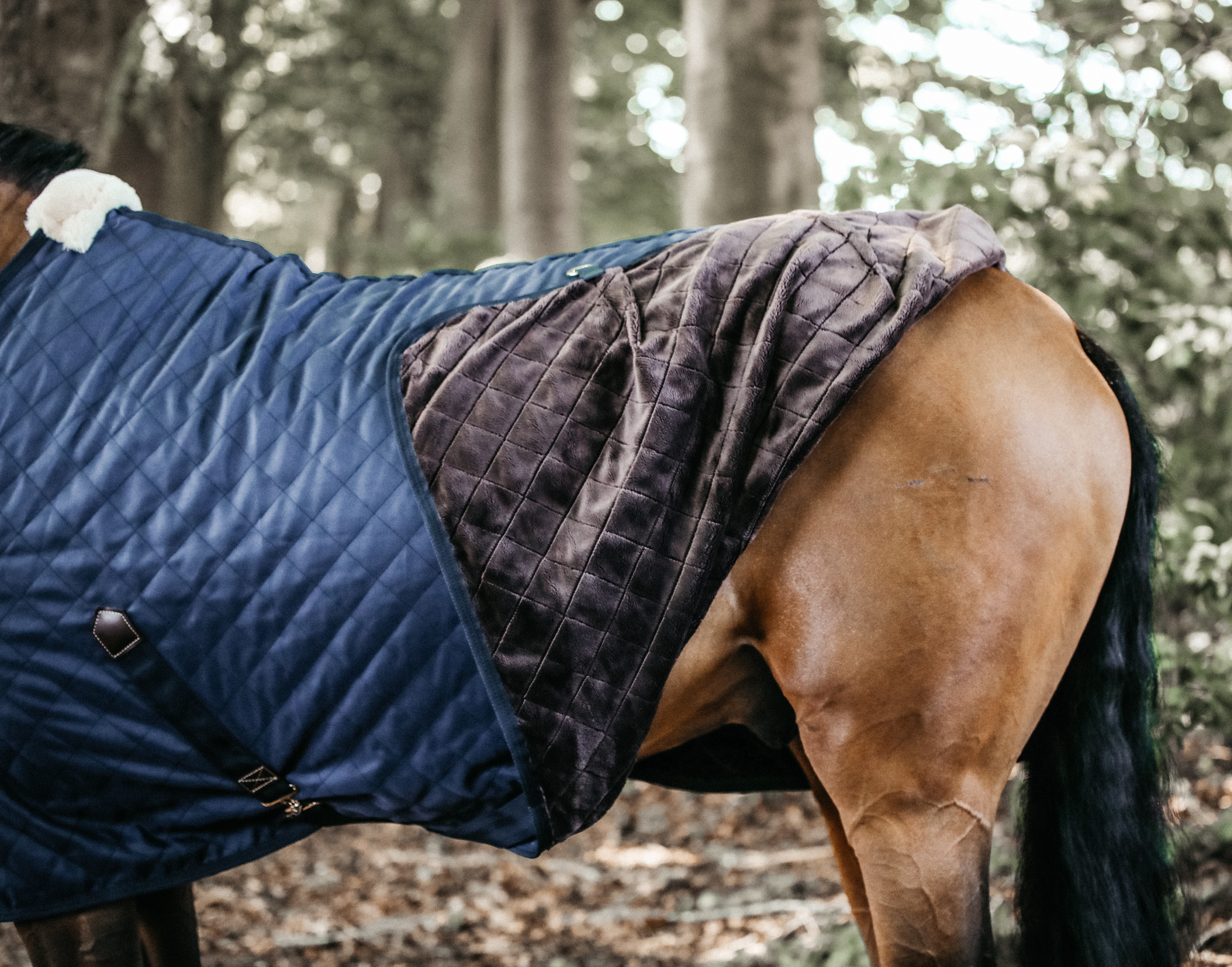 Stable Rug 0 gr - Navy