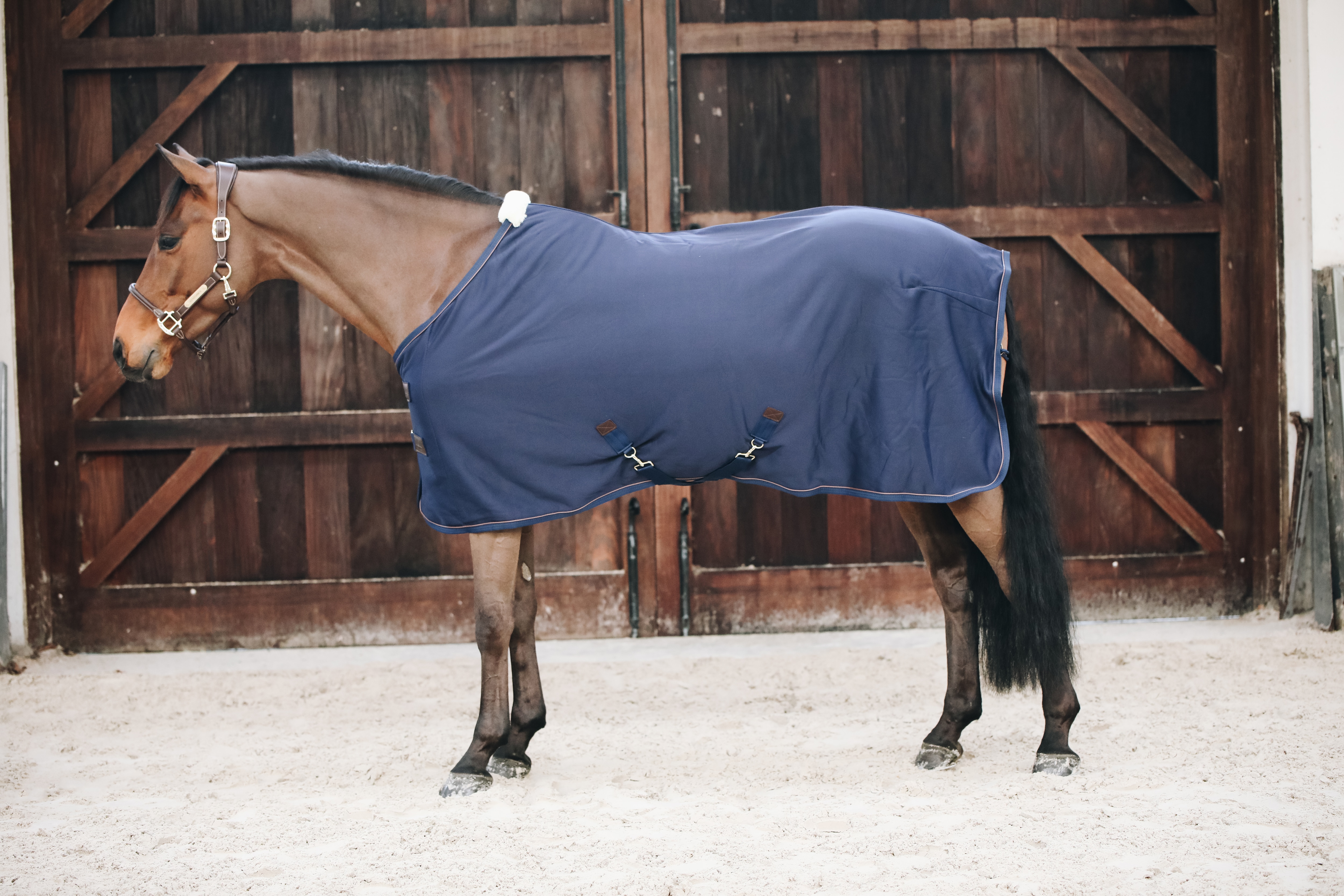 Cooler Fleece Rug - Navy