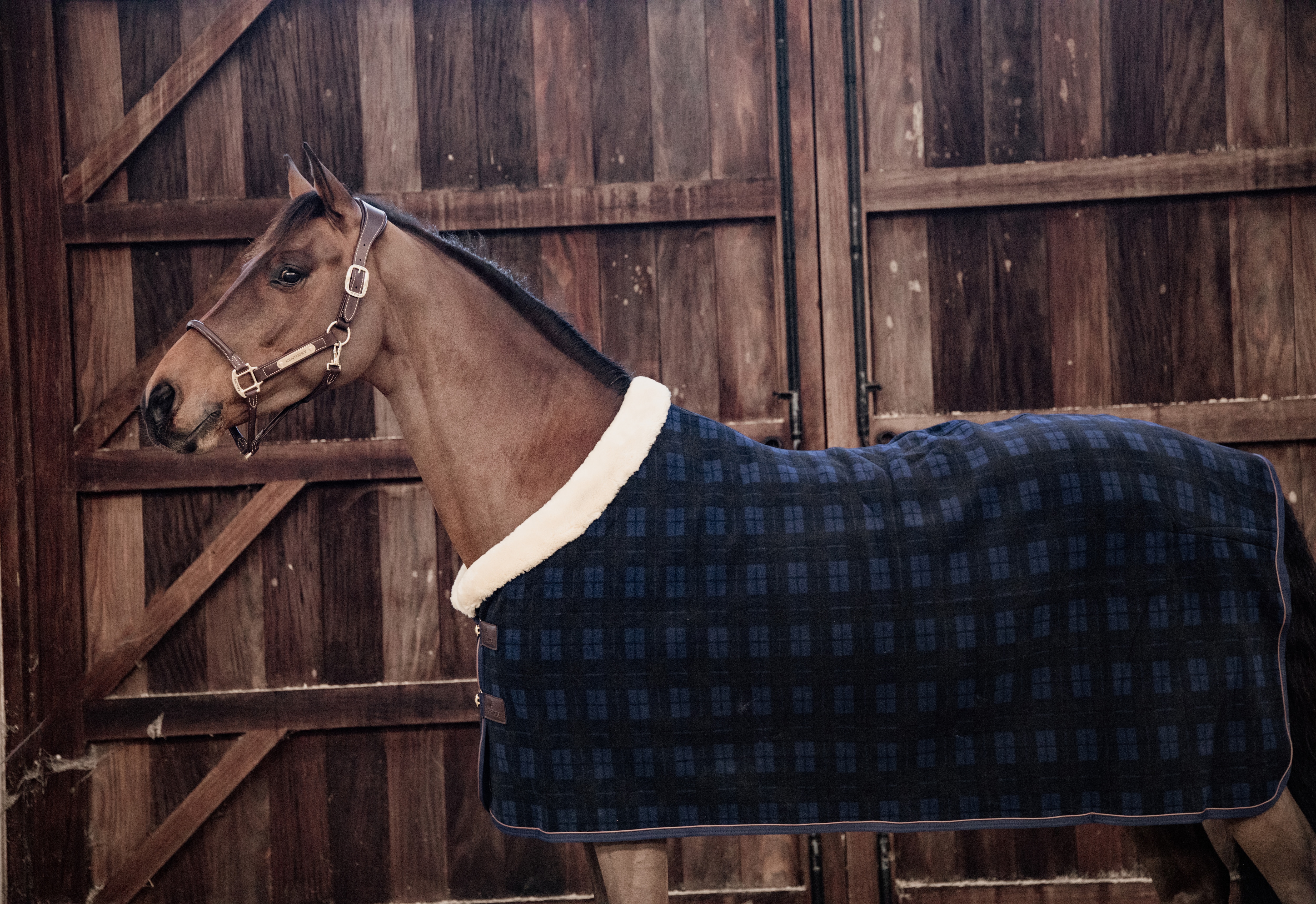 Fleece Show Rug - Navy/Check