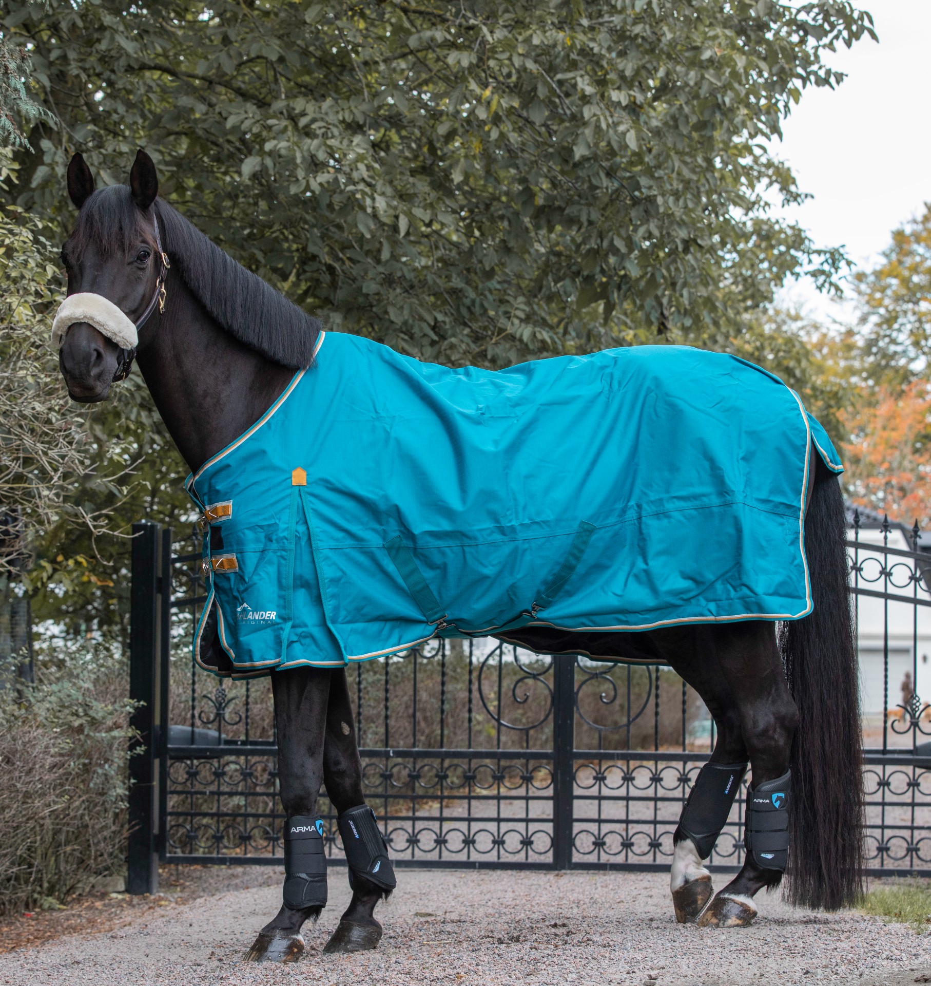 Highlander Original Turnout Rug 0g From Shires Teal Hogstaonline Hogsta Ridsport