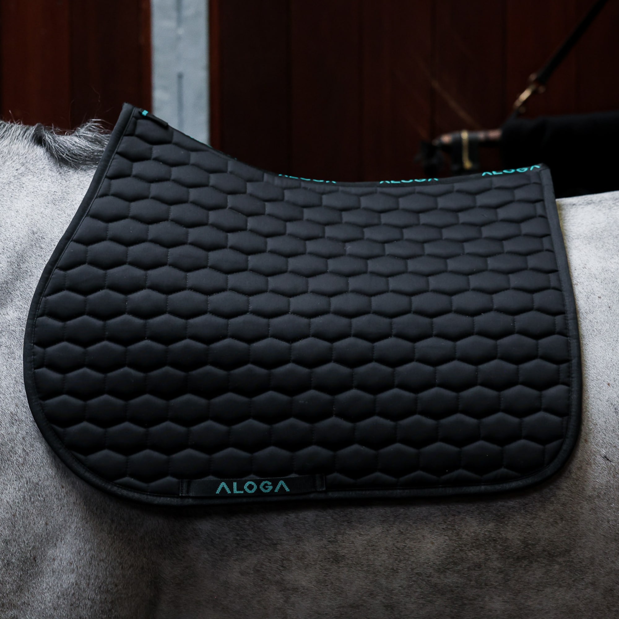 Aloga Jumping Saddle Pad - Black/Mint