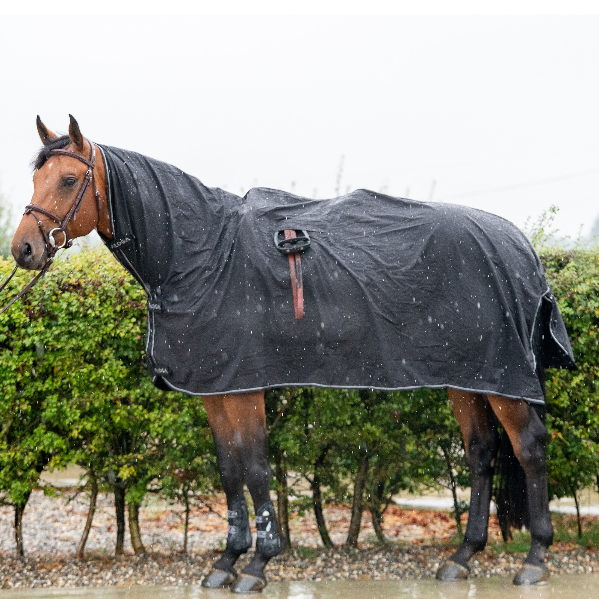 Aloga Pro Rain Sheet - Svart/Silver