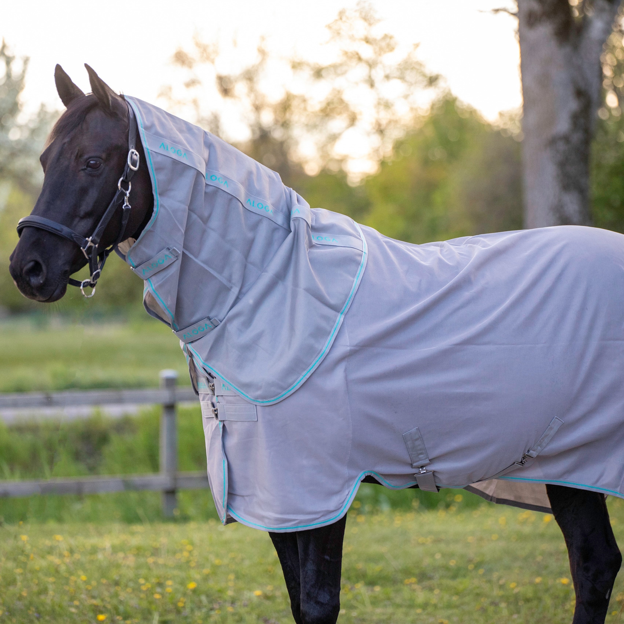 Aloga Fly Sheet - Grey/Mint