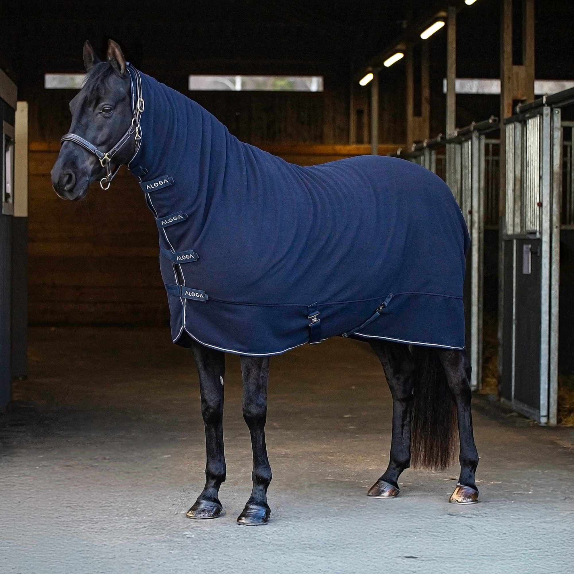 Aloga Full Body Fleece - Marin/Silver