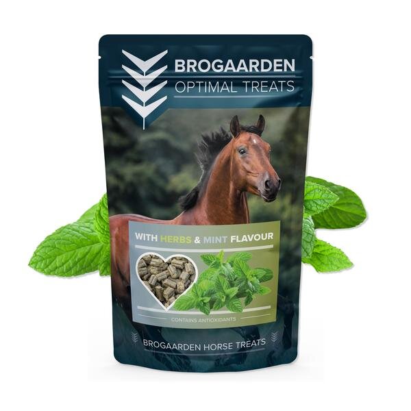 Horse candy - Herbs/Mint