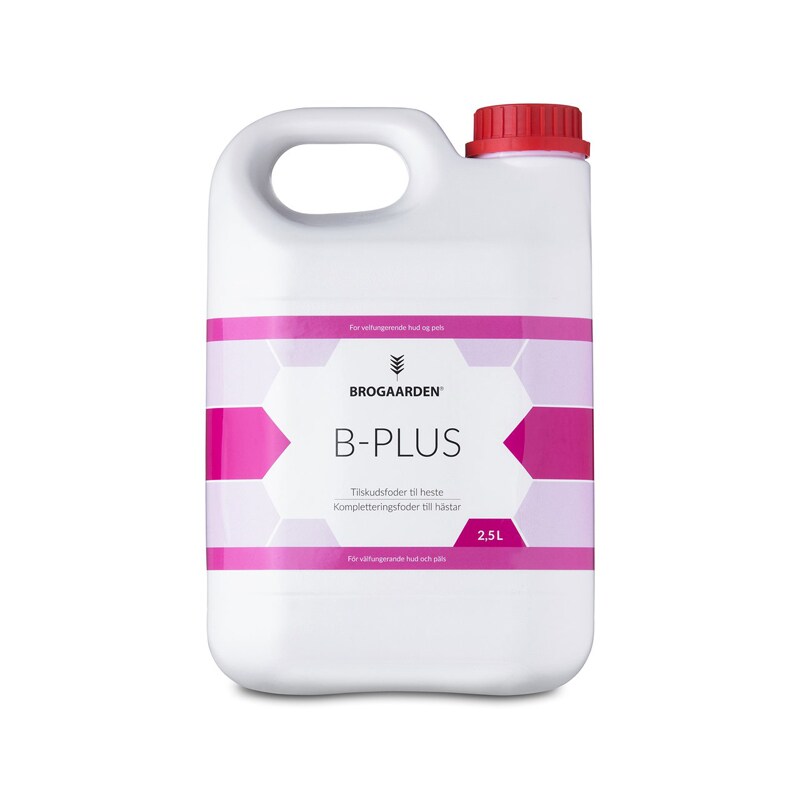 B-plus - 2,5 l