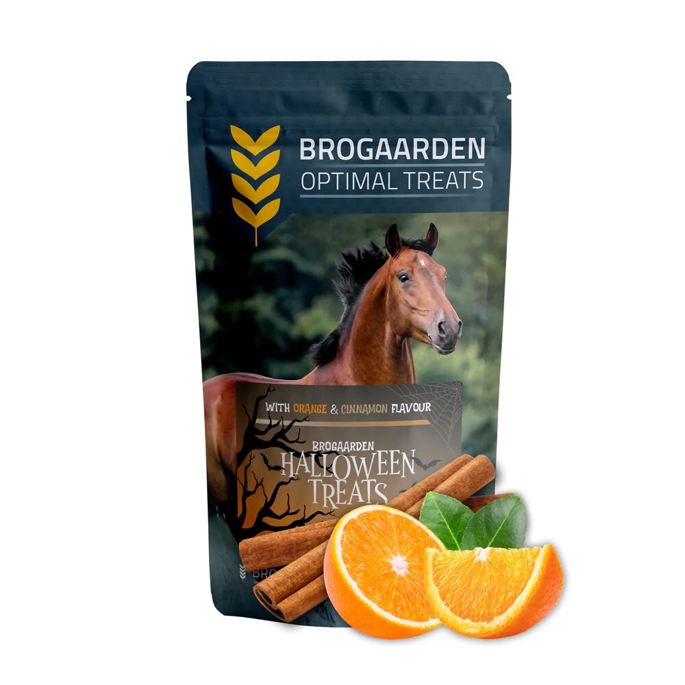 Horse treats- Cinnamon & Orange