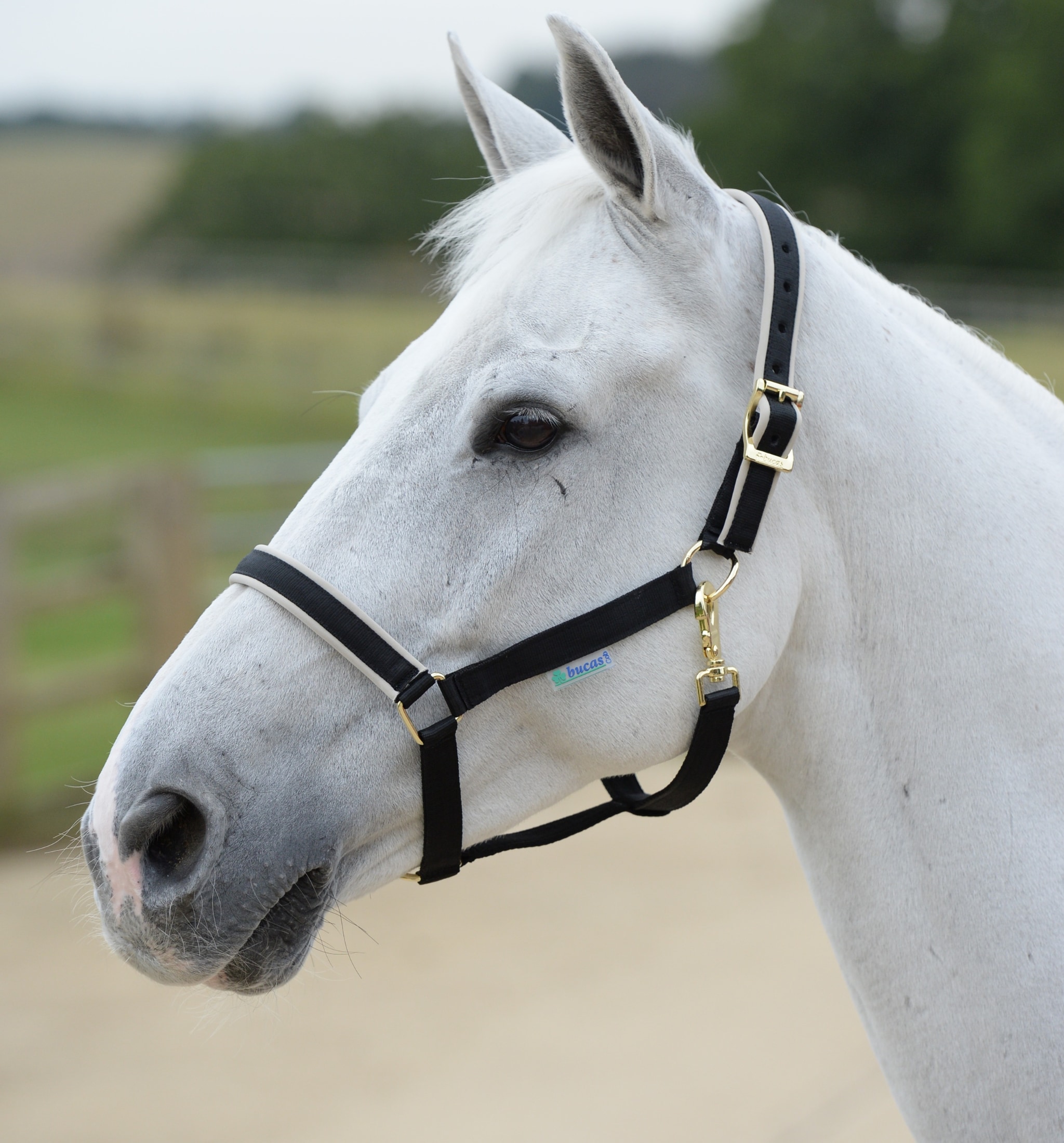 Textilgrimma - Svart/silver - Cob