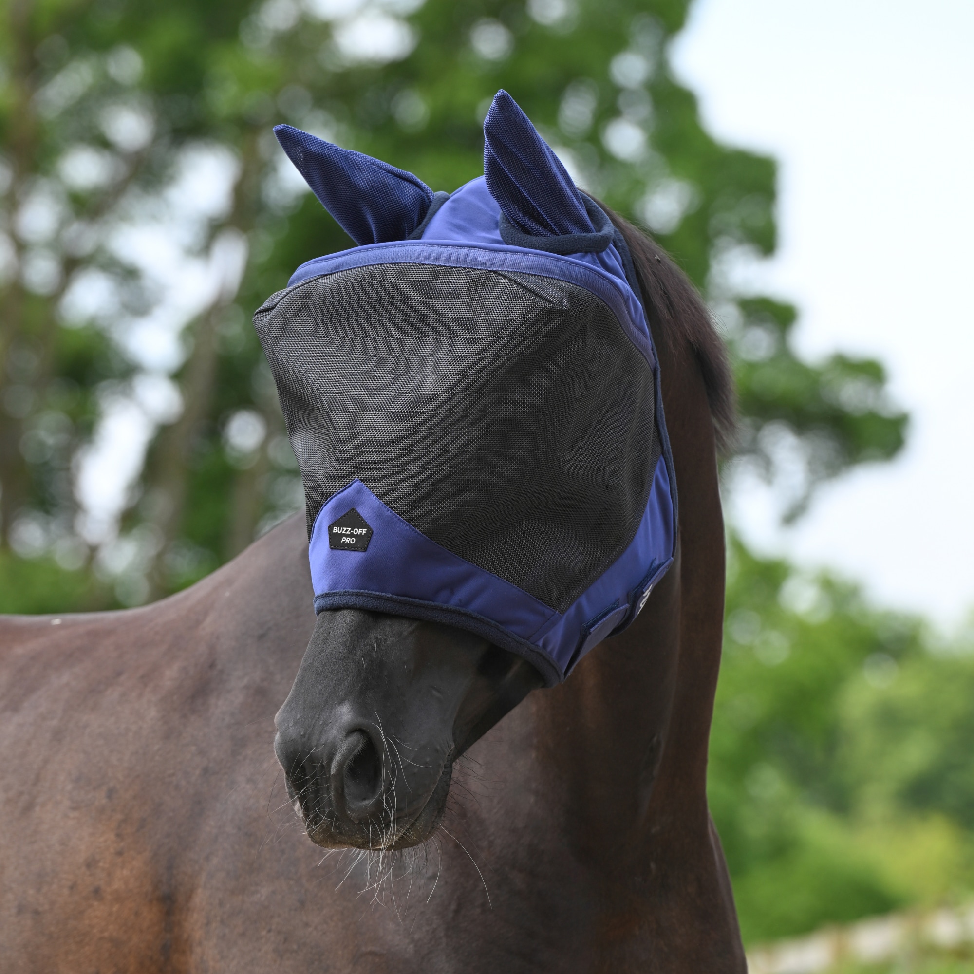 Buzz-Off Pro Fly Mask - Navy