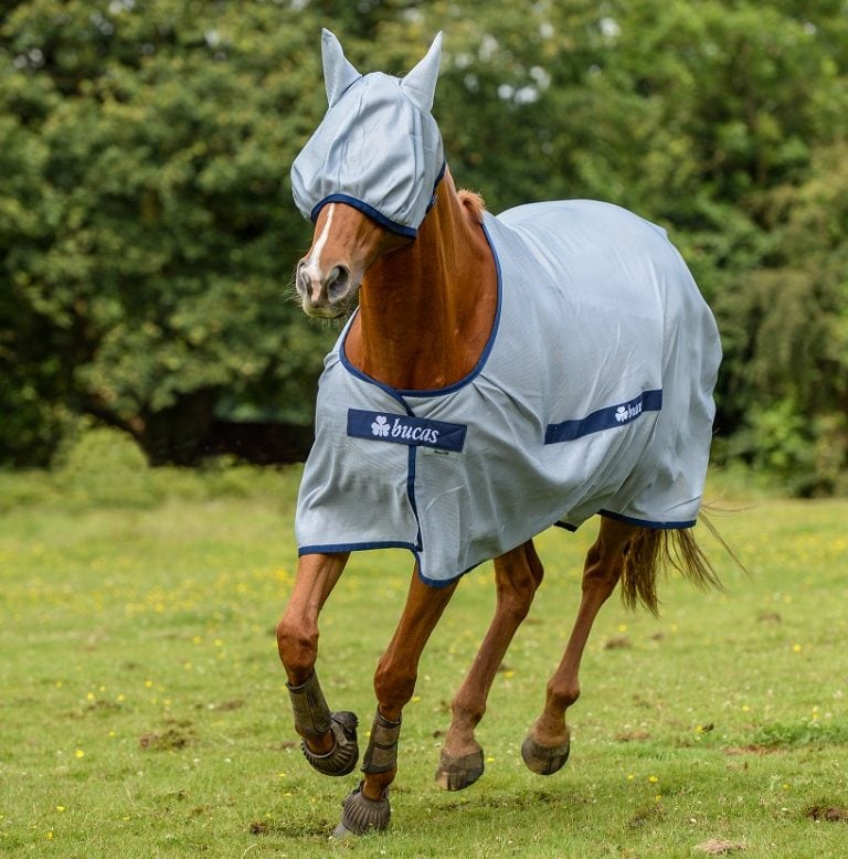 Fly rug, classic