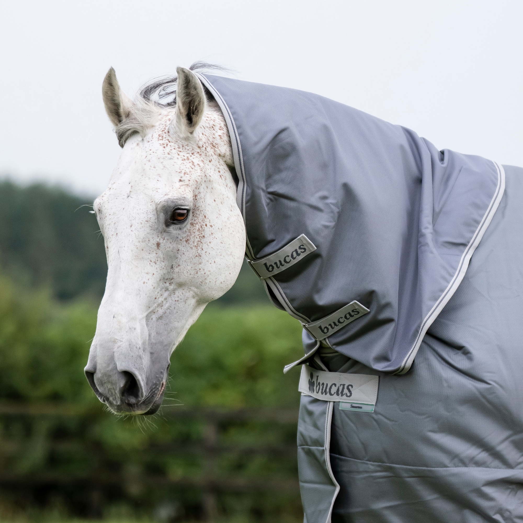Smartex Rain Neck - 0g - Iron Gate/Teal