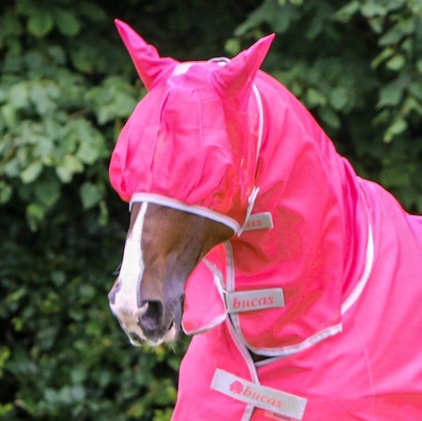 Freedom Fly Mask - Pink