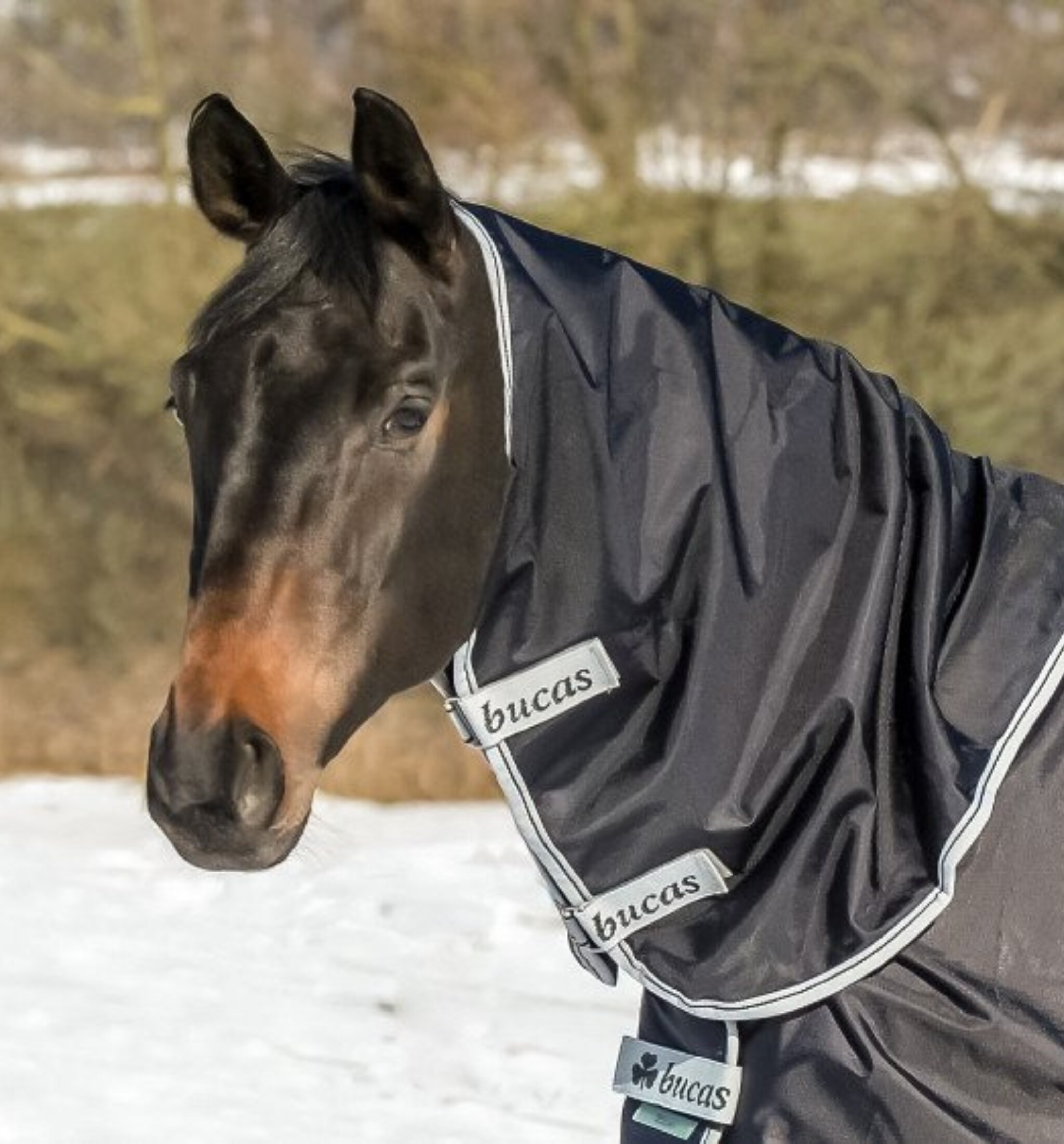 Smartex Combi Neck