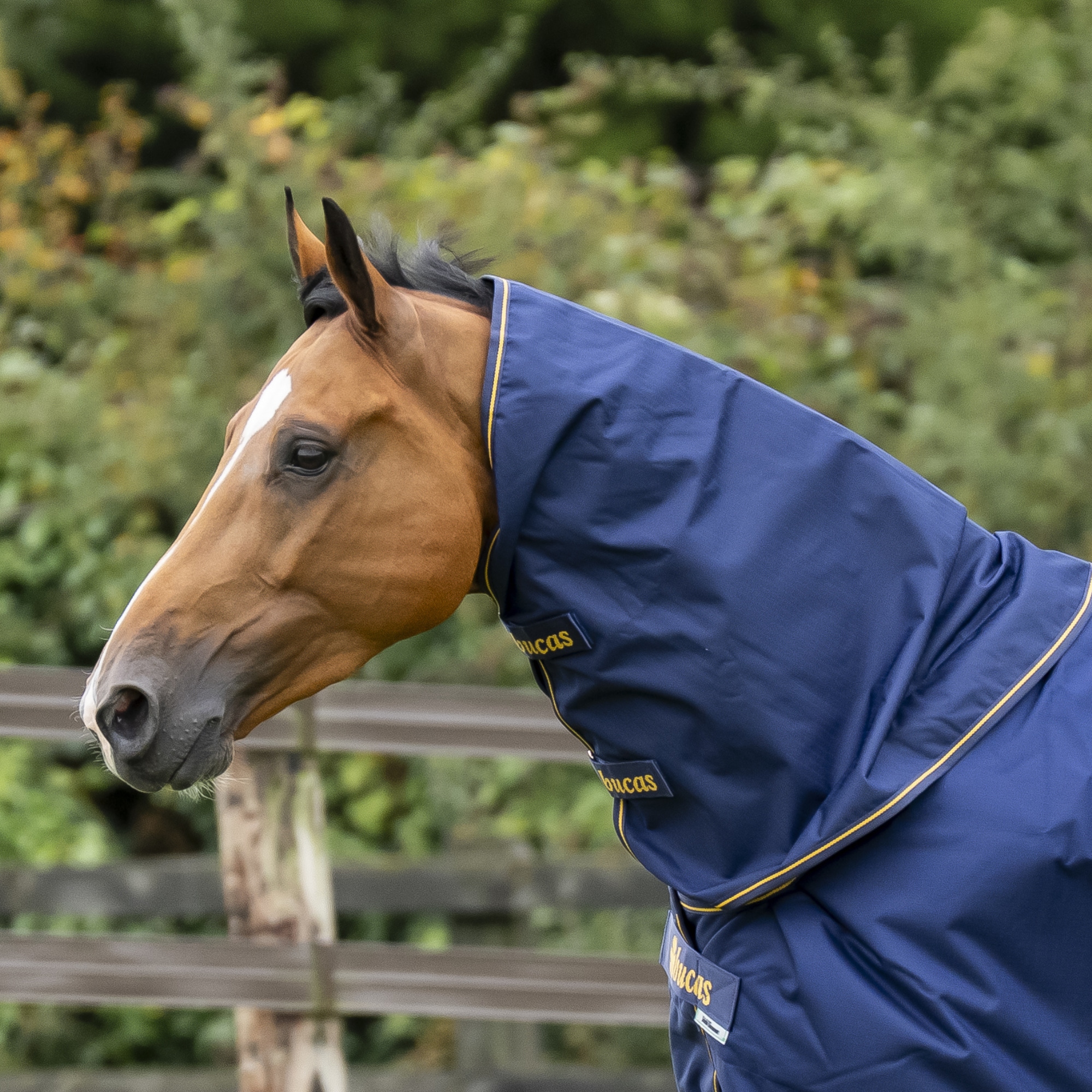 Irish Turnout Neck - Marin