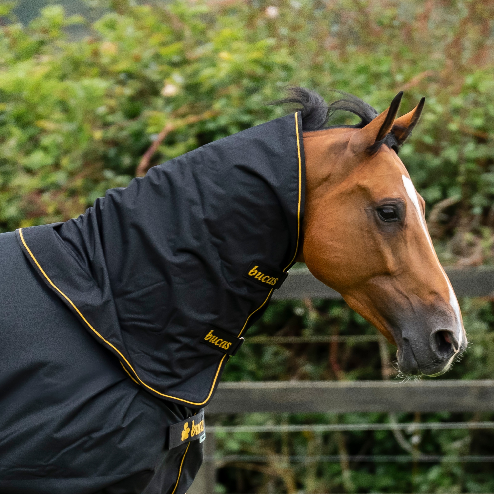 Irish Turnout Neck - Svart