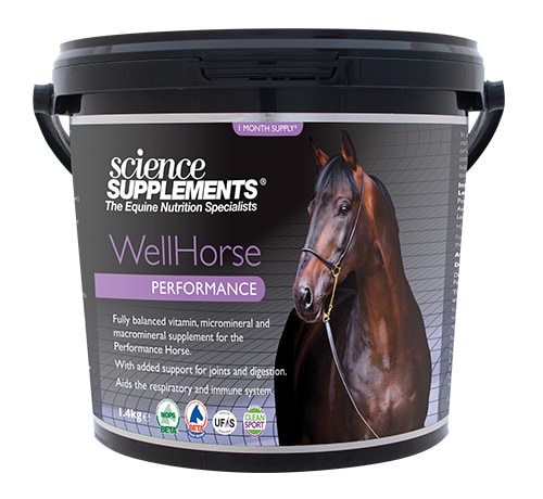 Wellhorse Performace - 1,4 kg