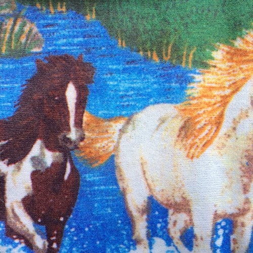 Riding Socks - Horse Country