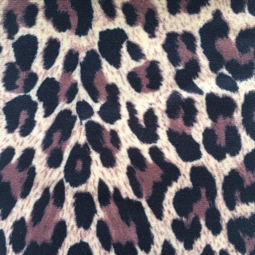 Ridstrumpa - Leopard