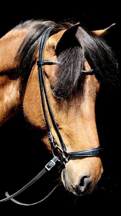 Browband Clincer - Black