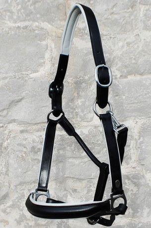 Dyón Leather Headcollar