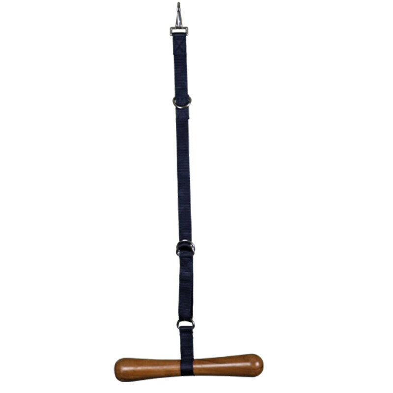 Saddle hanger, portable