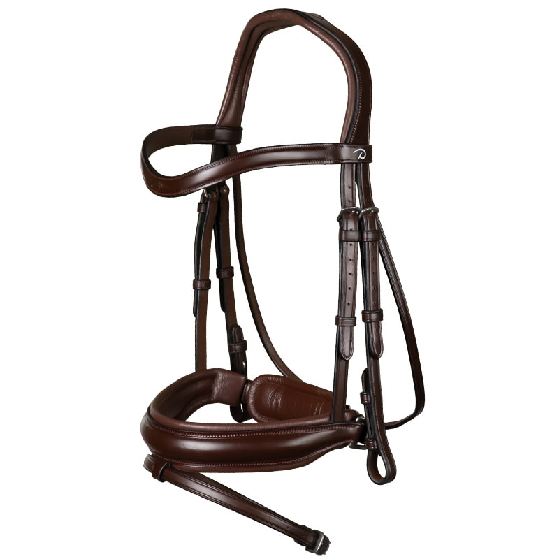 Dyón Bridle