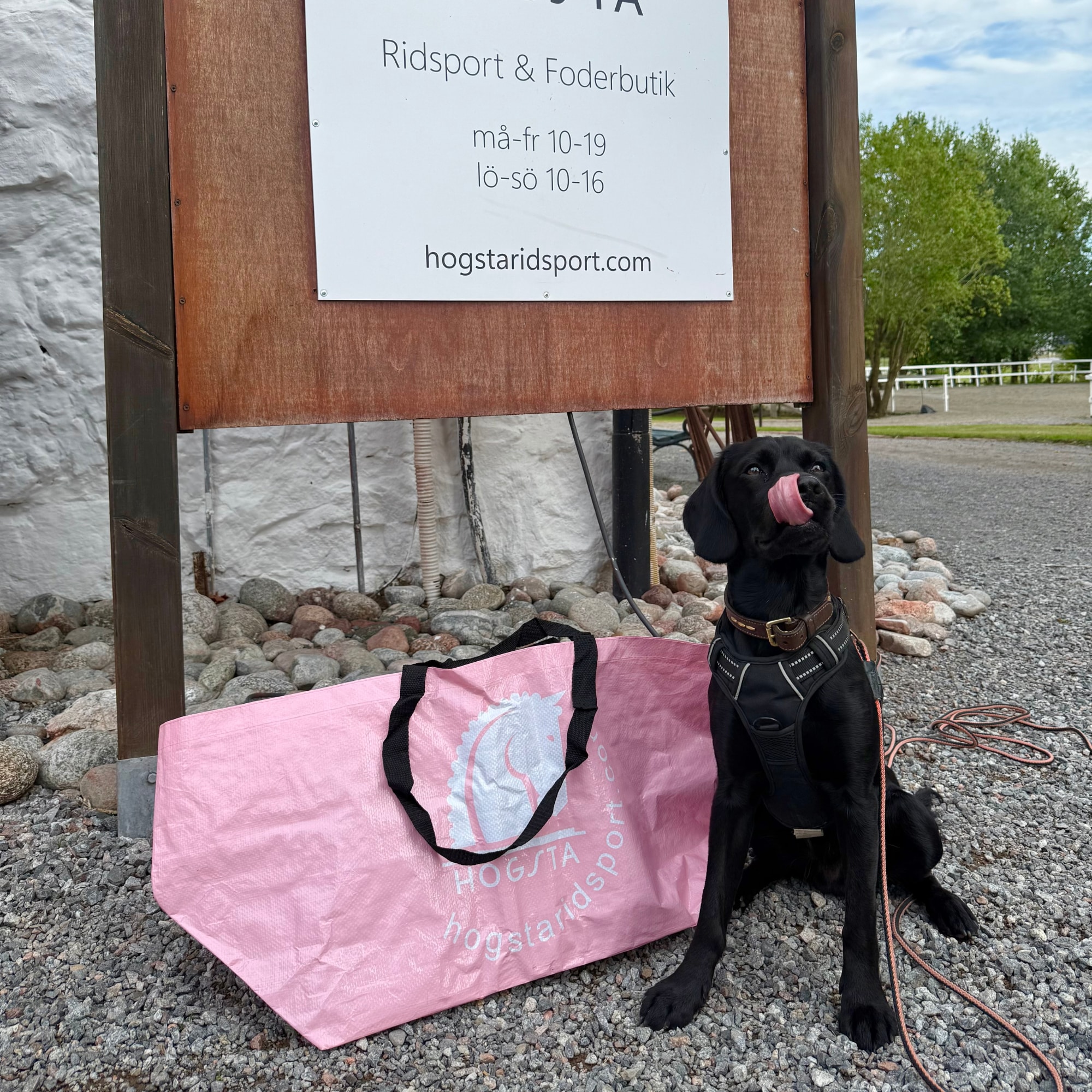 Hay/stable bag - Hogsta - Light Pink