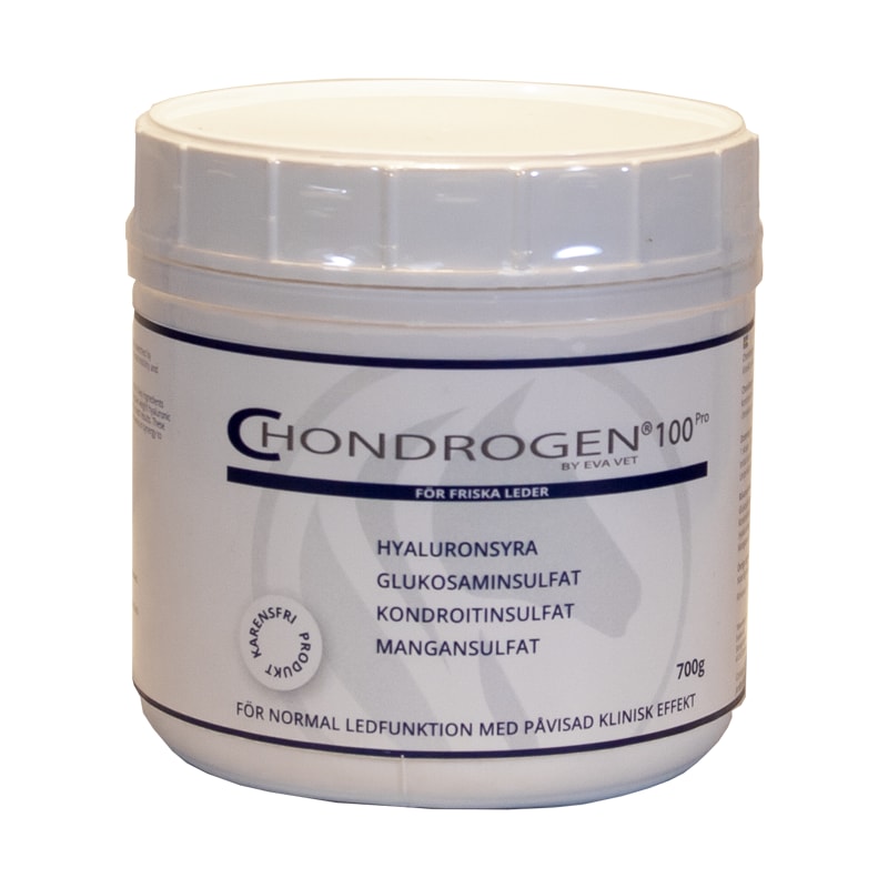 Chondrogen, glycosamin - 700 gr