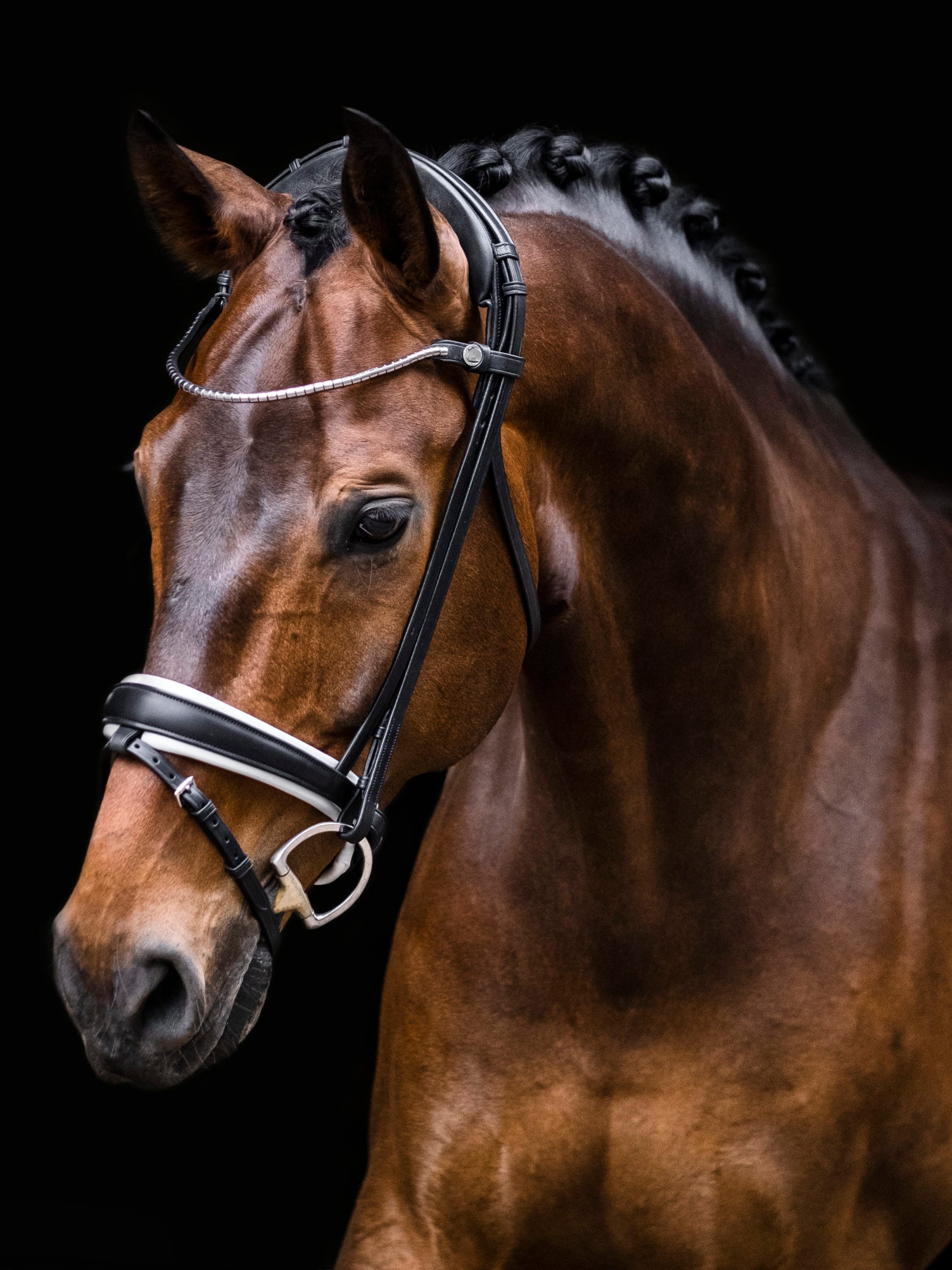 Finesse Bridle Cayenne Svartvit