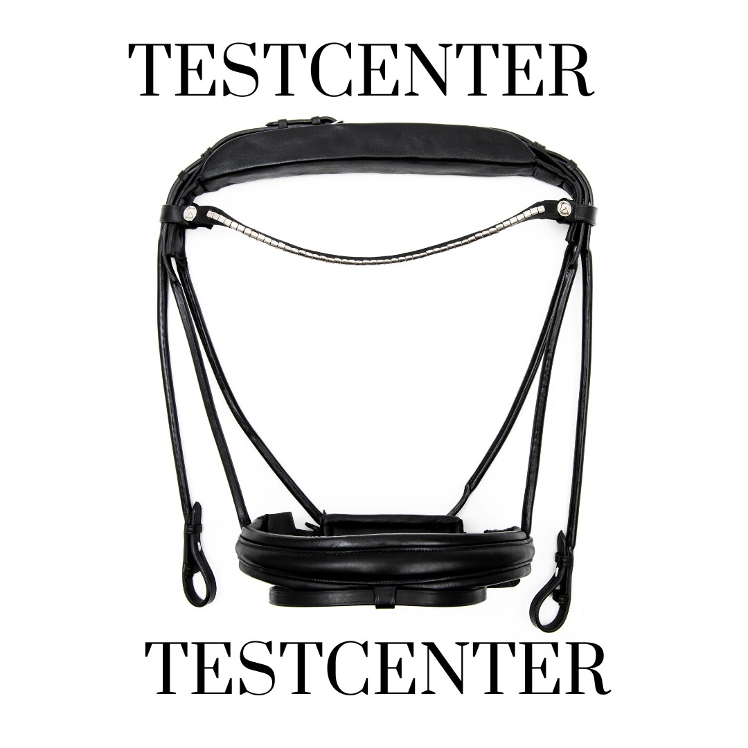 Testcenter Finesse Bridle