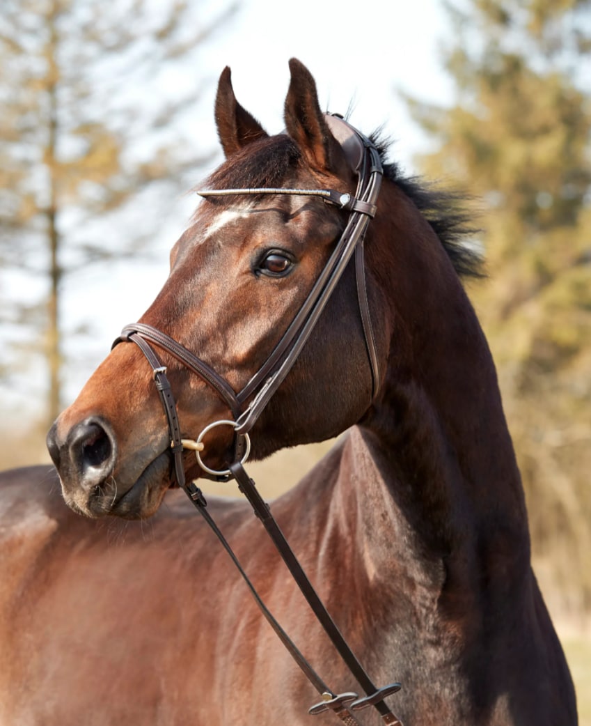 Finesse Bridle Zorro - Brun