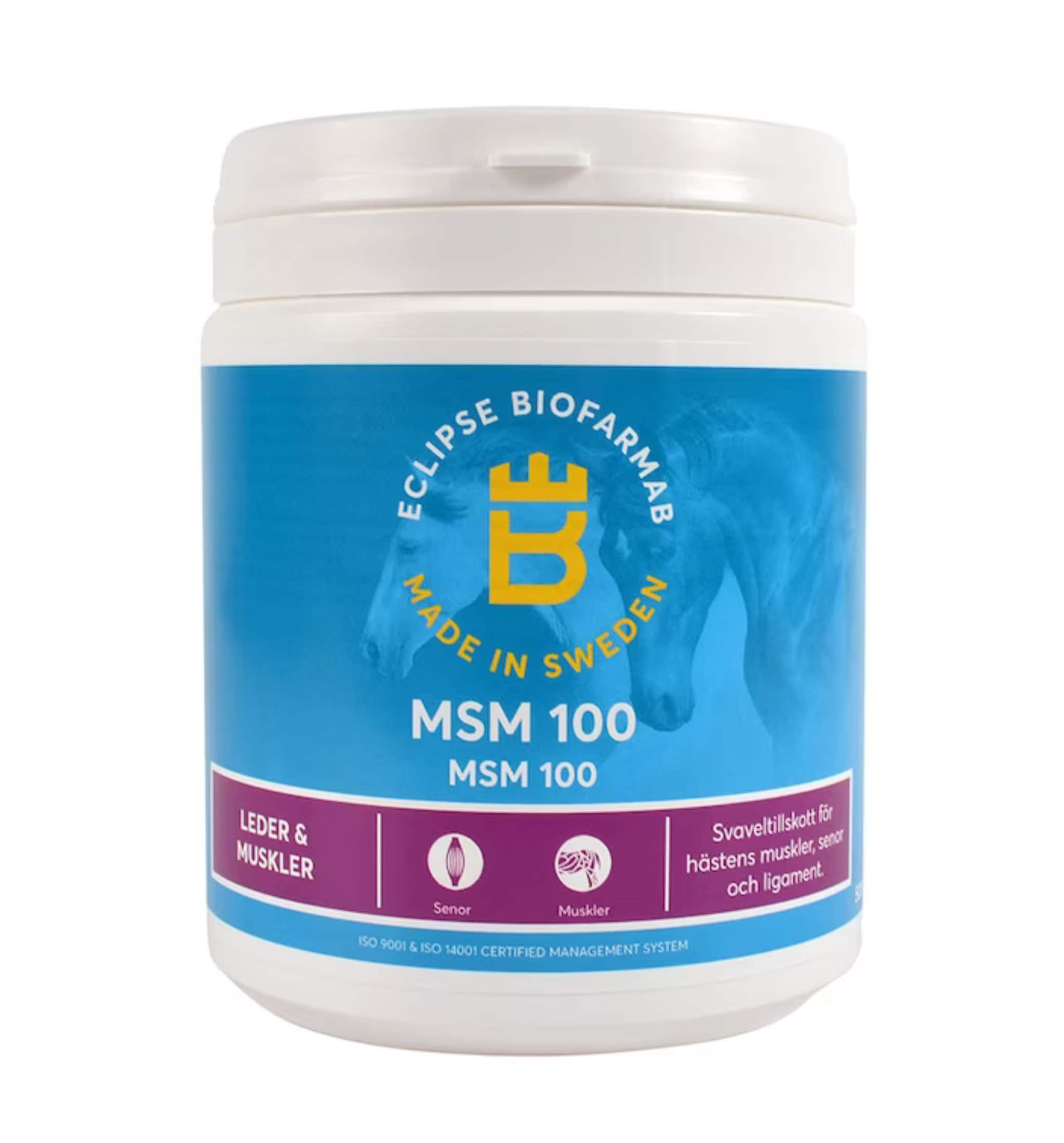 MSM 100 - 500g