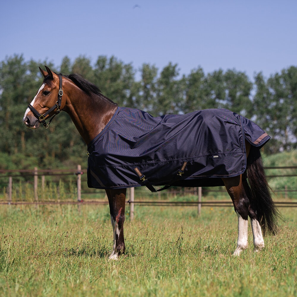 Turnout Rug Comfort 150g - Navy