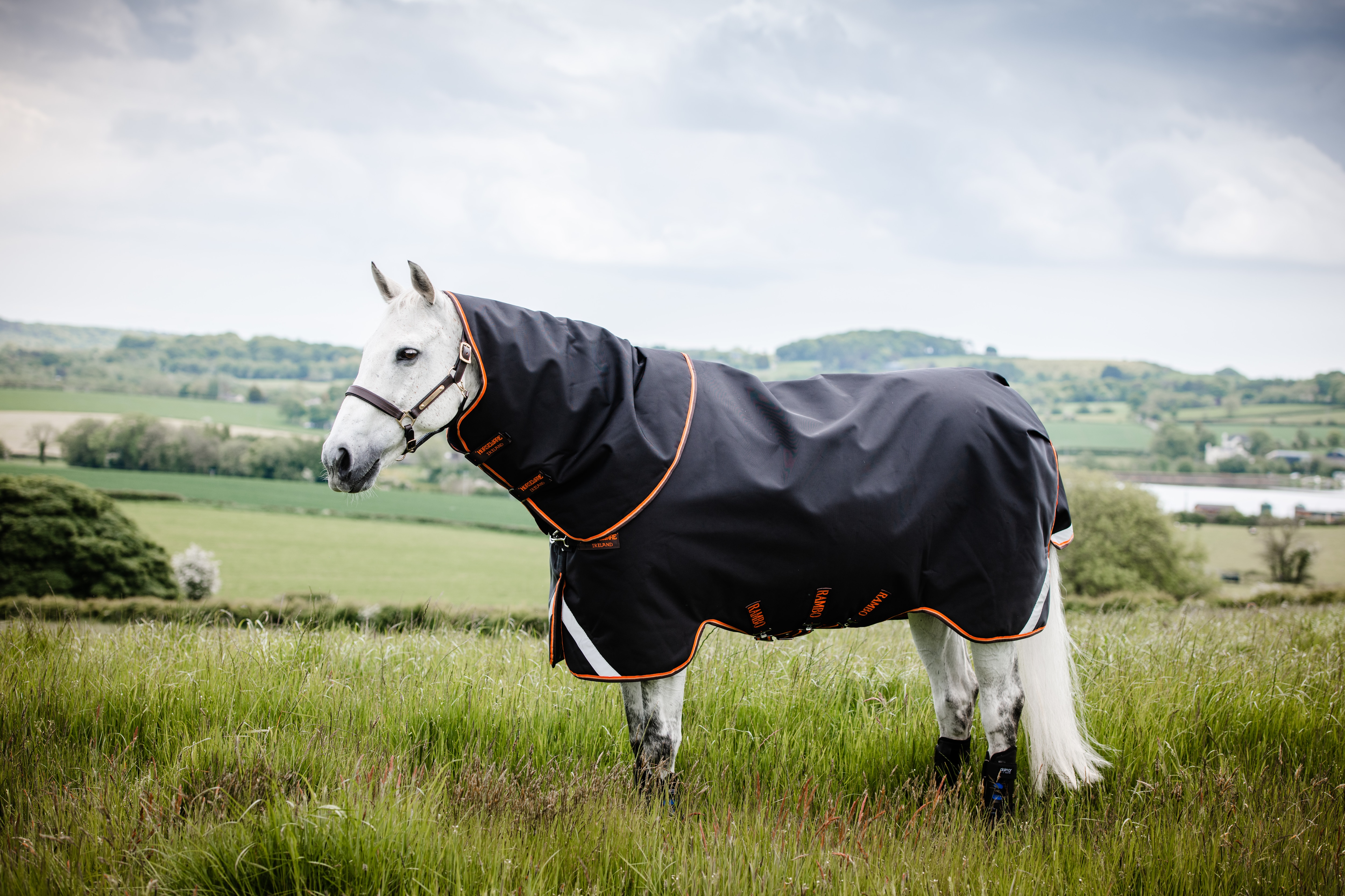 Rambo supreme black orange