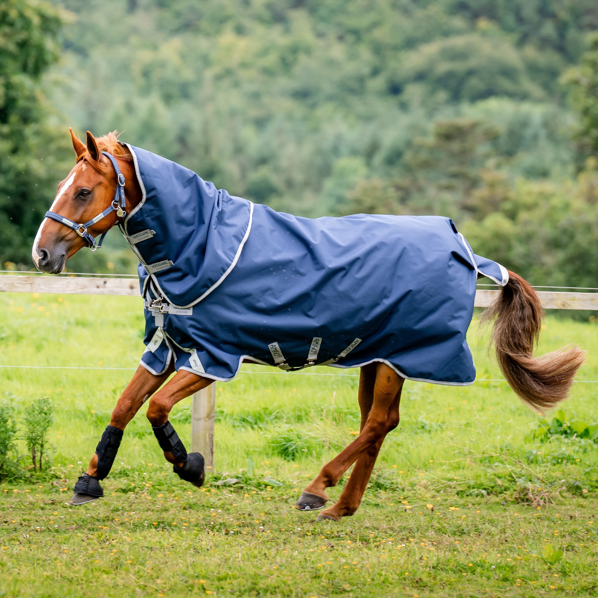 Amigo 1200D Plus TO Bundle - Navy