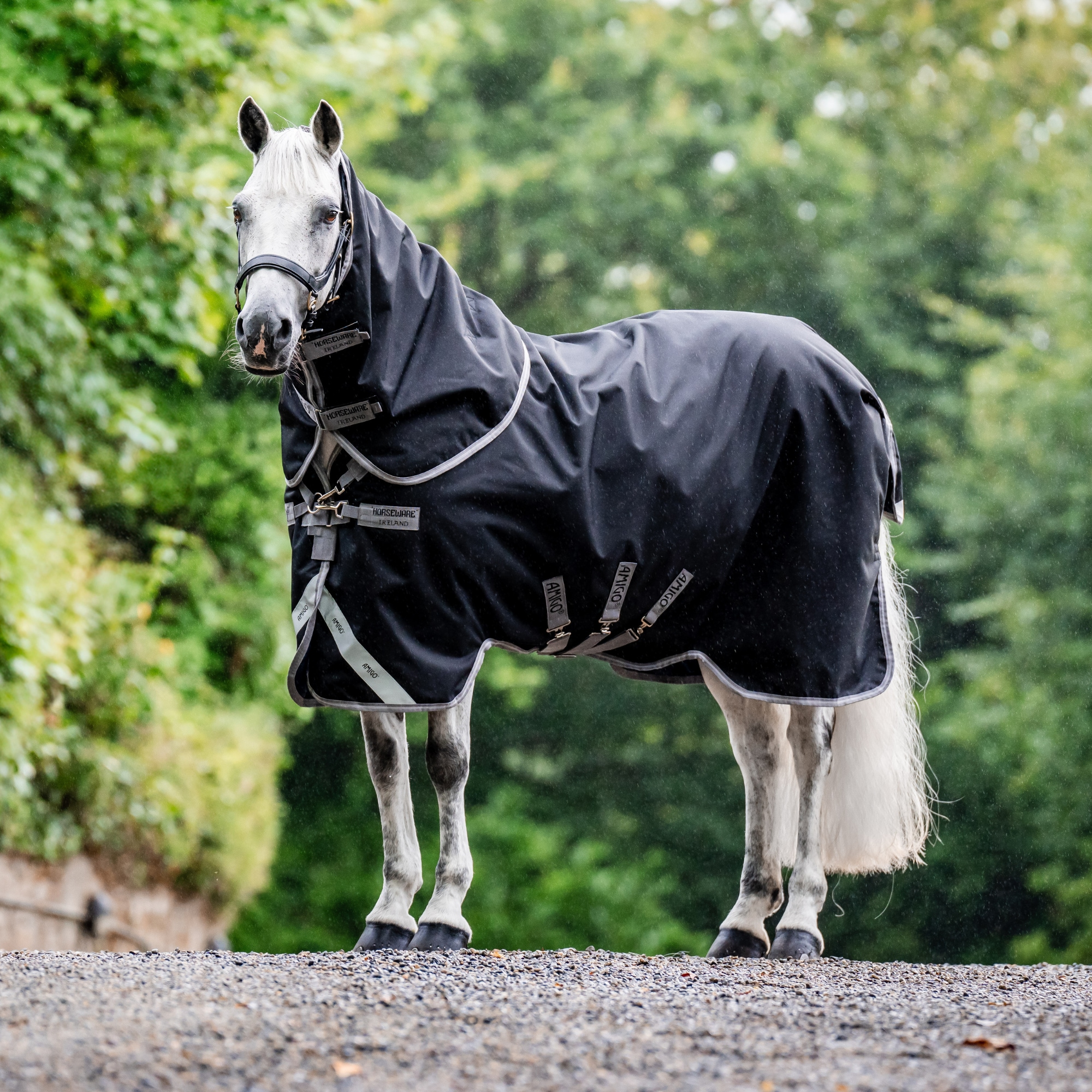 Amigo 1200D Plus TO - 100gr - Black