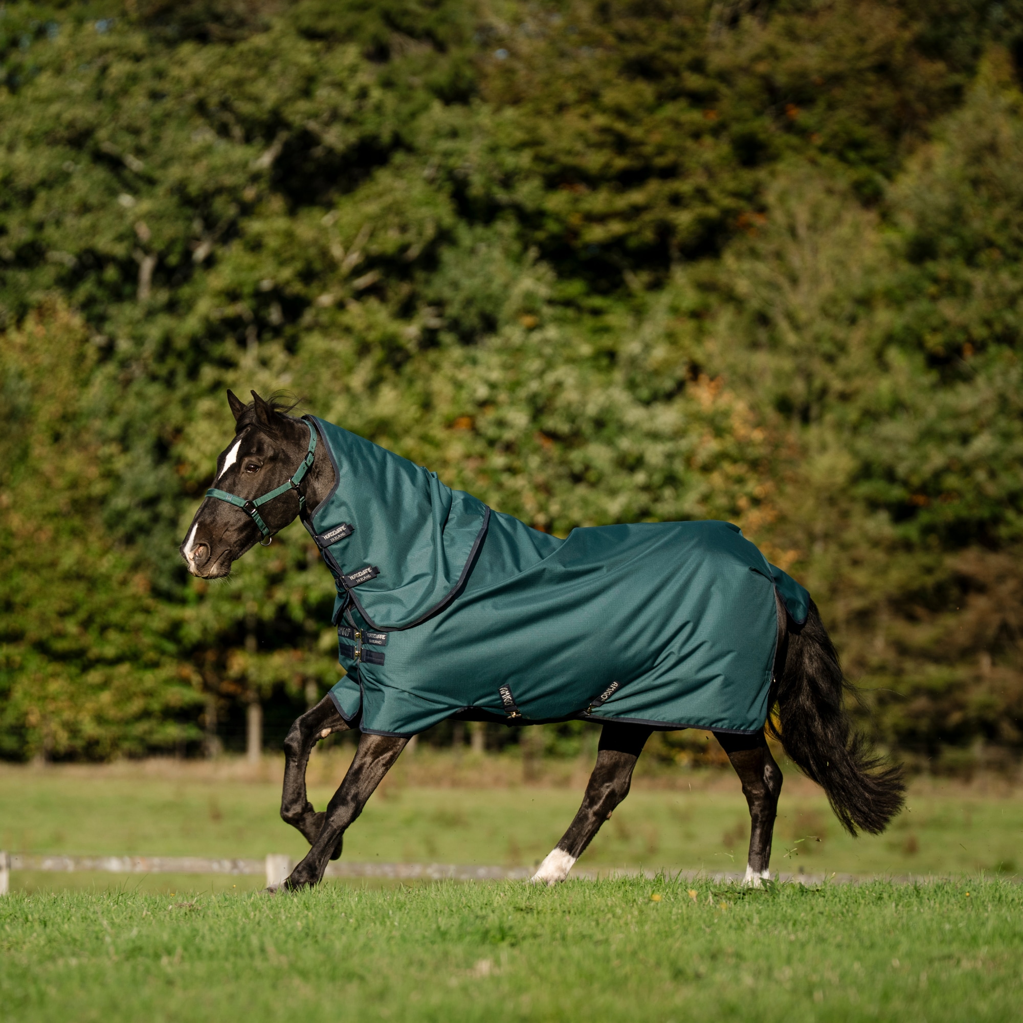 Amigo RS 900D Plus Pony TO - 0g - Dynasty Green