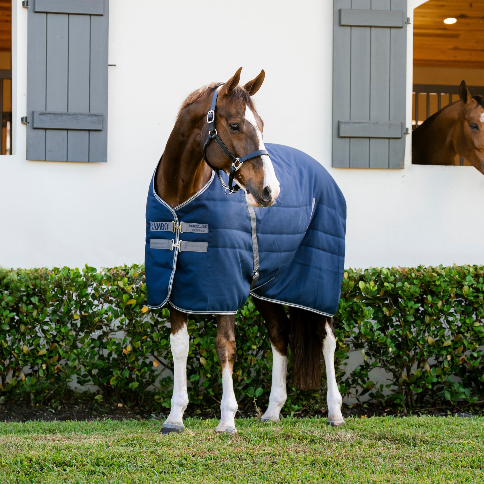 Rambo Stable 100g - Navy/Thunderstorm