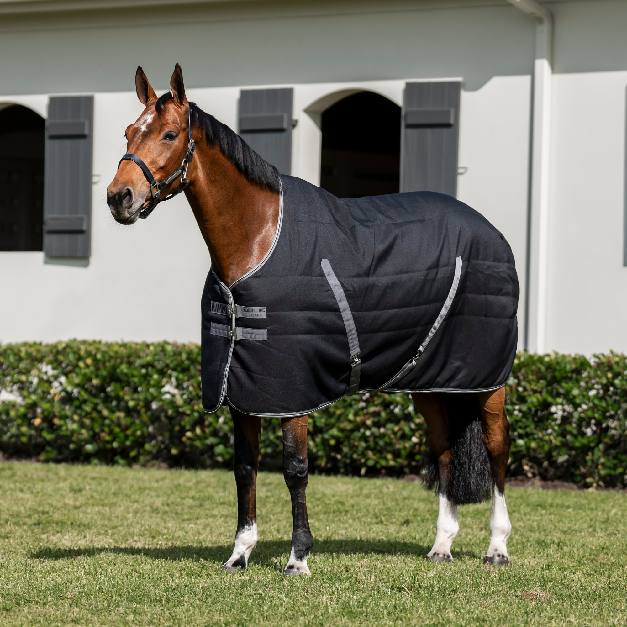 Rambo Stable 200g - Black