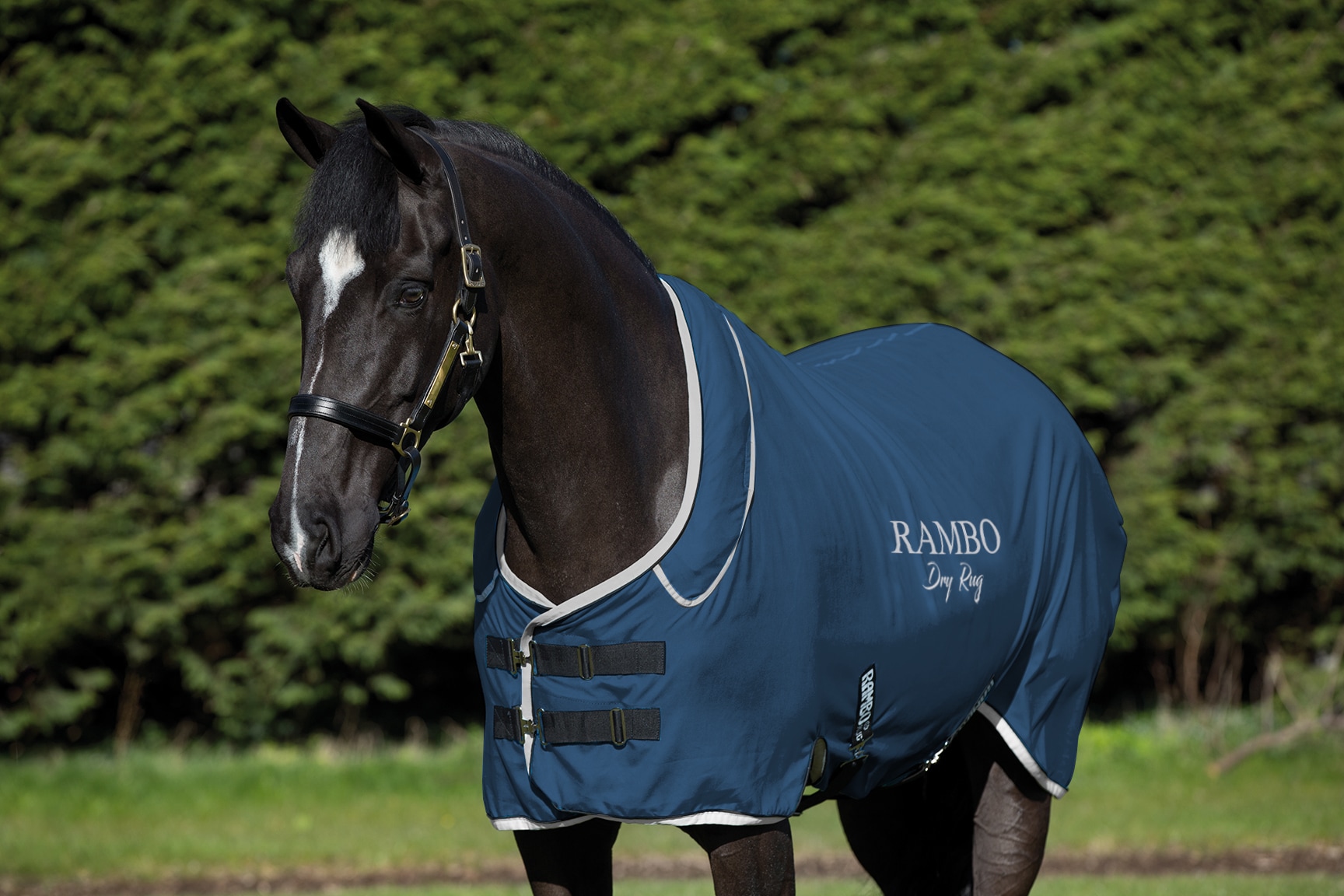 Rambo Dry Rug Supreme - Marin