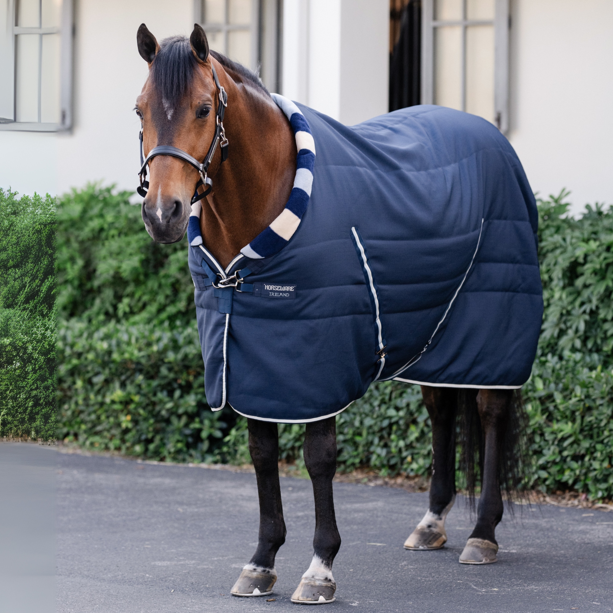 Newmarket Cosy - 100 g - Witney Navy