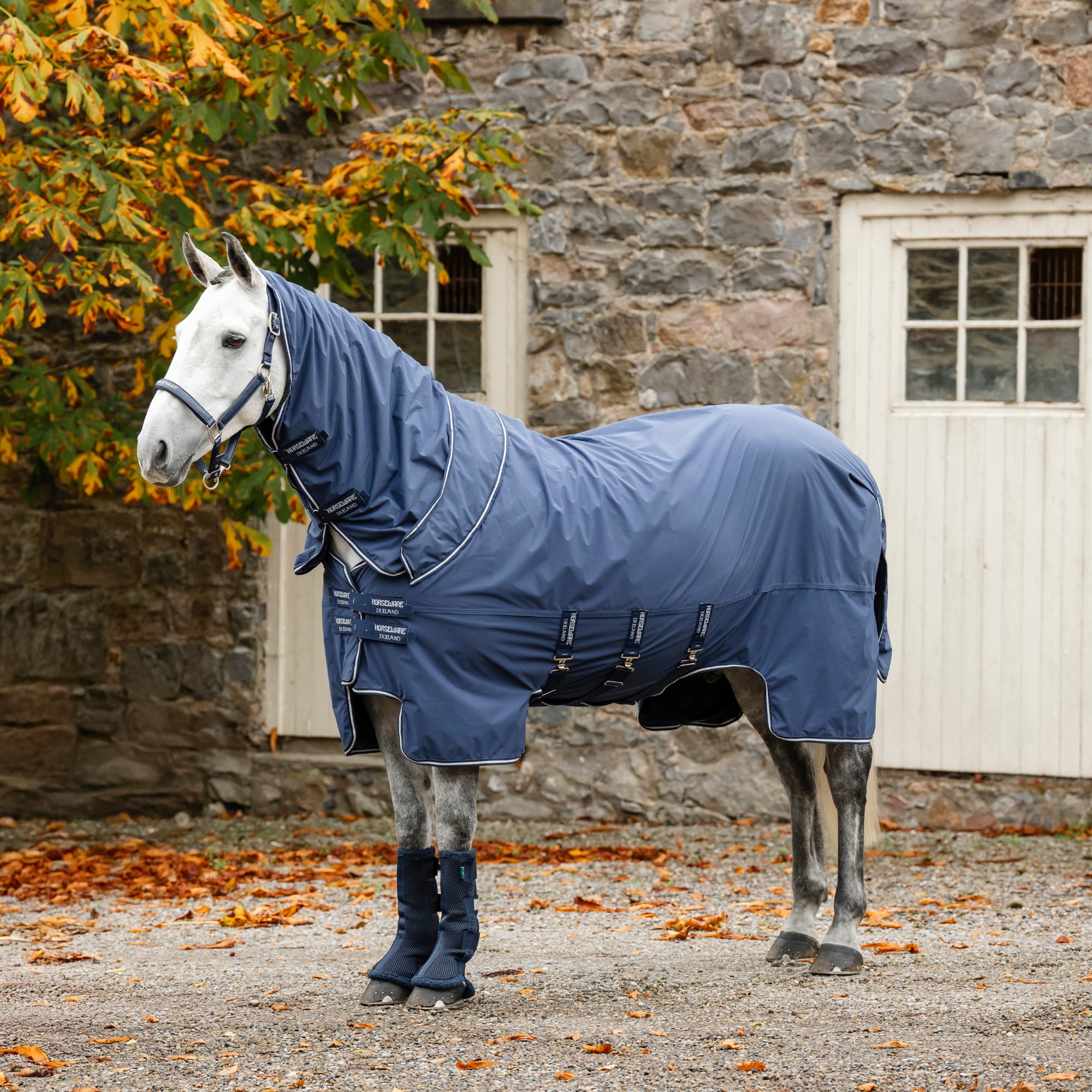 Show Ready Rug - Navy